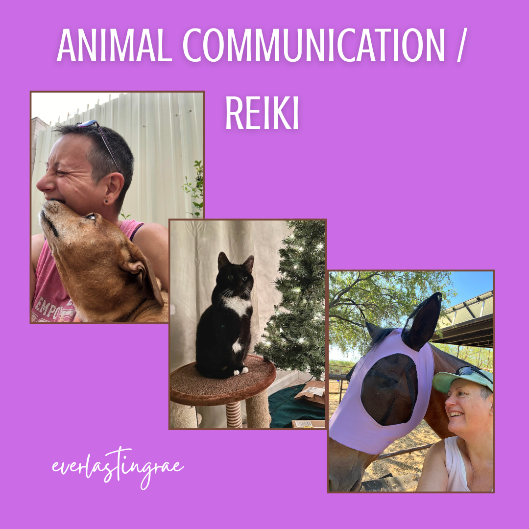 Animal Communication and Reiki